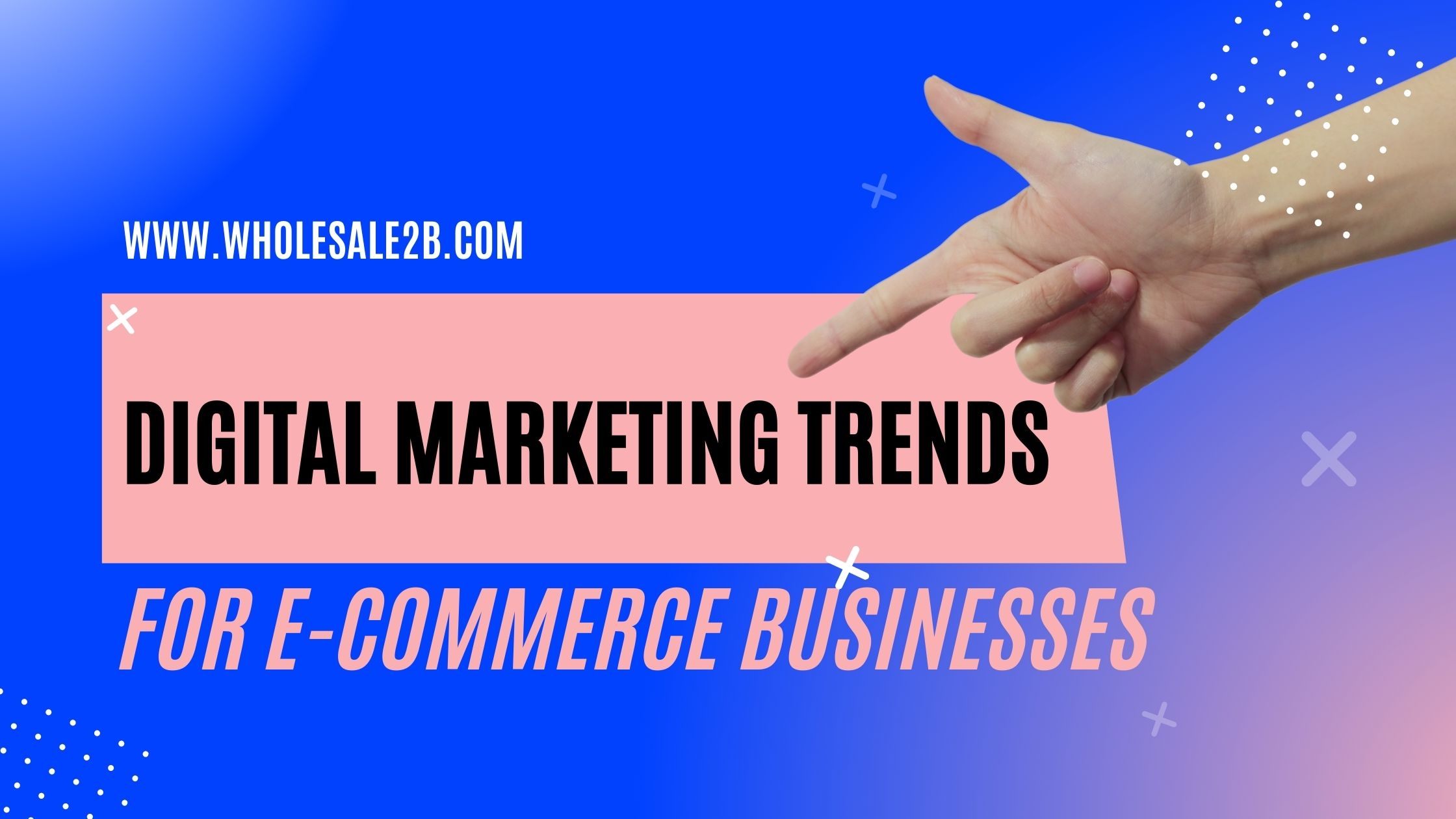 Digital Marketing Trends for Businesses (2024) Wholesale2B